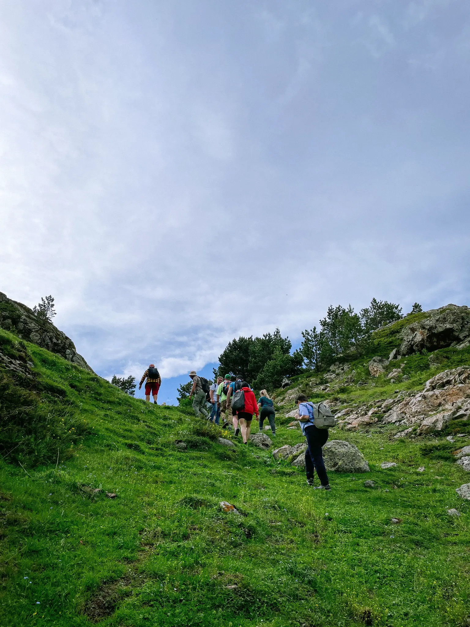 Grupo realizando senderismo en un paisaje natural